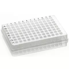Skirted PCR Plate
