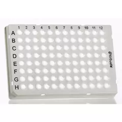 Individual Access 96 Well Skirted PCR Plate