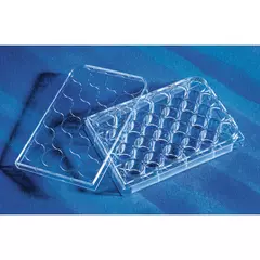 Costar Multiple Well Cell Culture Plates